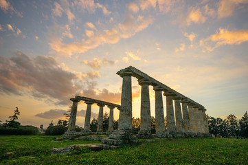 Metaponto Santuario Templio di Hera