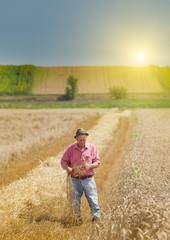 Naklejka na ściany i meble Man on the wheat field