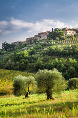 Fototapeta na wymiar View of a small village in Tuscany