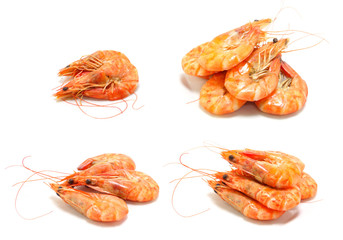 shrimp isolated on white background
