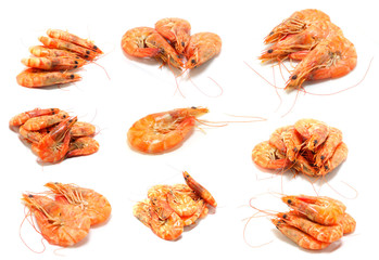 shrimp isolated on white background