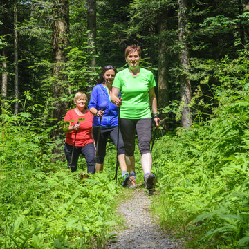 Drei Walkerinnen im Wald