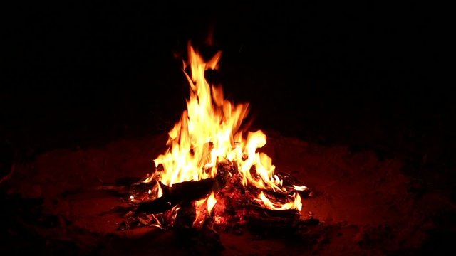 Outdoor campfire burning during the night