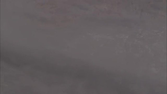 Savanna Sand Storm
