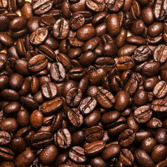Many Roasted Coffee