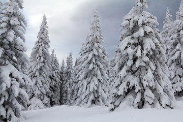 Winter in the mountains