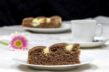 Homemade cocoa cake with cream cheese