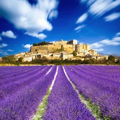 Wandcirkels plexiglas Provence - Lavendelvelden in Frankrijk © Alexi Tauzin