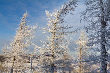 Winter in the mountains