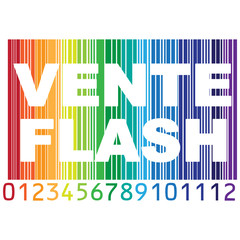 VENTE FLASH ICON