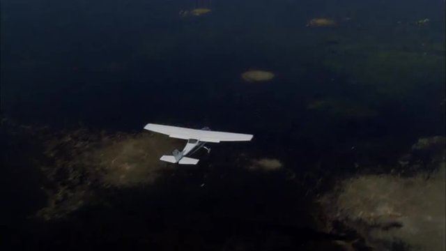 River Delta