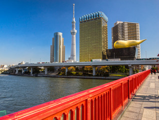 Obraz premium Tokyo skyline, Japan.