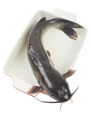 Channel catfish in a ceramic baking dish cooking isolated on whi