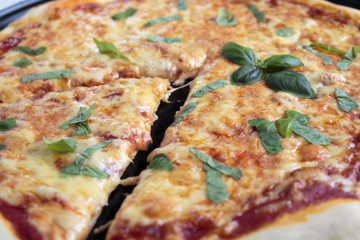 Cheese pizza