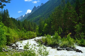 Fototapeta na wymiar River in mountains