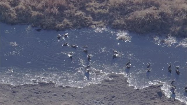 Ducks River Savanna