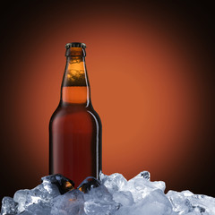 Beer Bottle on Ice Cubes