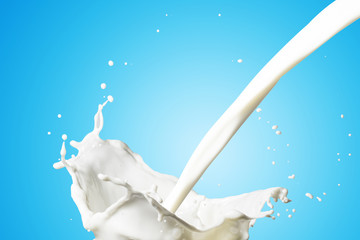 Fototapeta na wymiar Milk SPlash