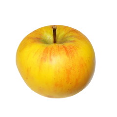 yellow red apple organic natural isolated on white