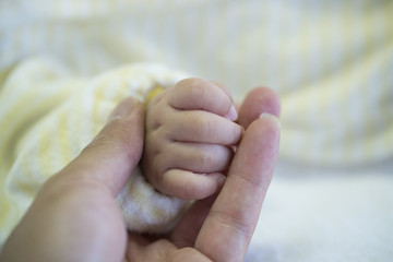 Touch of newborn baby.