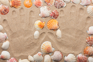 Imprint hands on the sand among the shells