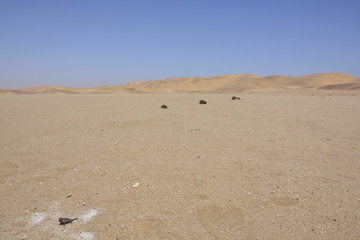 Namibwüste nahe Swakopmund, Namibia, Afrika