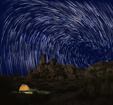 Long Exposure Star Trails In Joshua Tree National Park