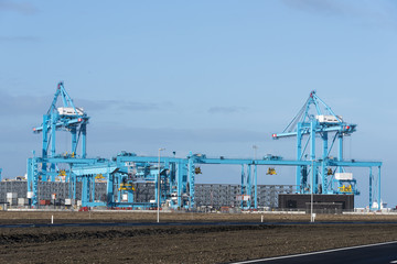 Fototapeta na wymiar new industrial cranes in the europoort