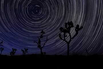 Cercles muraux Nuit Long Exposure Star Trails In Joshua Tree National Park
