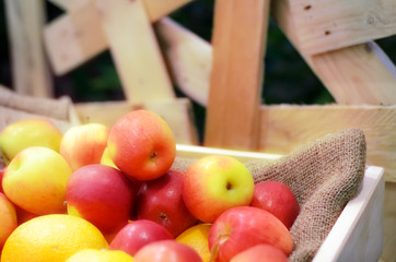 Apple and orange on stack