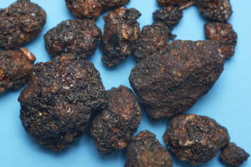 Myrrha, Moyao, Myrrhe, Gummiharz, Myhrrebaum