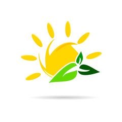 sun icon with leaf color vector