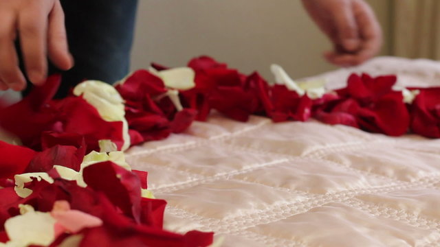 Heart of rose petals on the bed