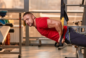 Naklejka na ściany i meble fitness TRX man workout