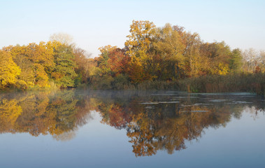 River landscape and  autumn wood