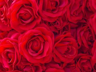 the artificial red rose texture pattern