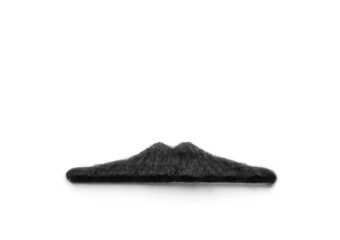 Black moustache on white
