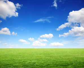 Schöne Sommer Landschaft