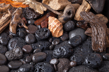 Beach stones and shells