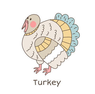Funny cartoon turkey, children illustration