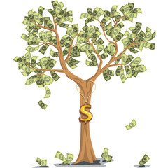 money tree with dollars - 76662075