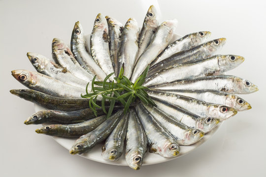 Plato de sardinas