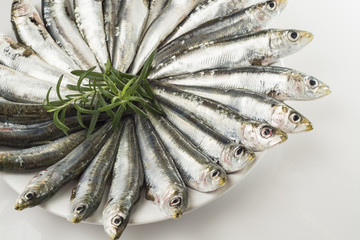 Sardinillas crudas
