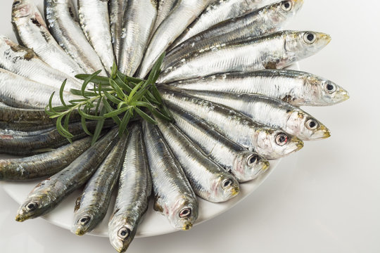 Sardinillas crudas
