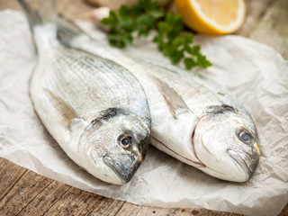 Gilt-head sea bream fish