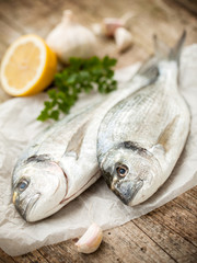 Gilt-head sea bream fish