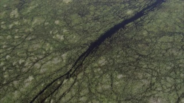 River Delta