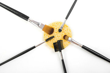 different professional cosmetic brushes on white background