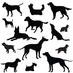 Dog set. Collection of vector silhouette