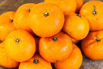 the orange fruit